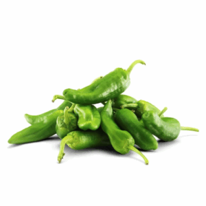 Grønn Paprika Nederland