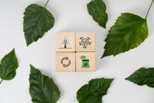 Sustainable development goals still life