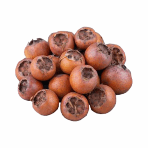 Tyrkisk Musmula Dongel